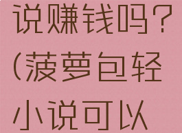 菠萝包轻小说写小说赚钱吗?(菠萝包轻小说可以在手机上写小说吗)