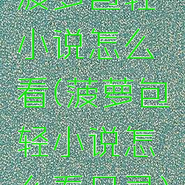 菠萝包轻小说怎么看(菠萝包轻小说怎么看目录)