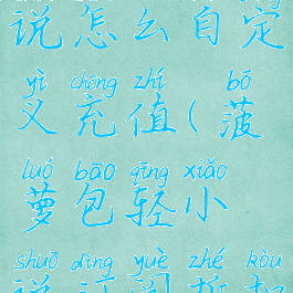 菠萝包轻小说怎么自定义充值(菠萝包轻小说订阅折扣)