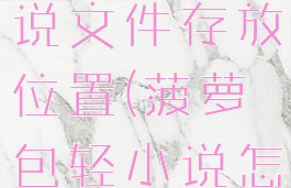 菠萝包轻小说文件存放位置(菠萝包轻小说怎么看)