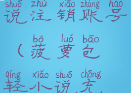 菠萝包轻小说注销账号(菠萝包轻小说充值)