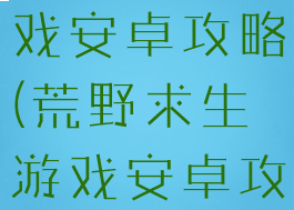 荒野求生游戏安卓攻略(荒野求生游戏安卓攻略大全)