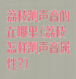 荔枝测声音的在哪里(荔枝怎样测声音属性?)