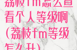荔枝fm怎么查看个人等级啊(荔枝fm等级怎么升)
