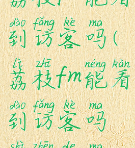 荔枝fm能看到访客吗(荔枝fm能看到访客吗是真的吗)