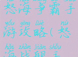 荣耀战舰之怒海争霸手游攻略(怒海战舰手机版)