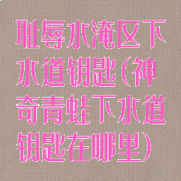 耻辱水淹区下水道钥匙(神奇青蛙下水道钥匙在哪里)