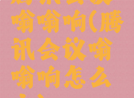 腾讯会议嗡嗡响(腾讯会议嗡嗡响怎么办)