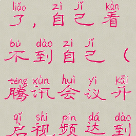 腾讯会议开启视频上限了,自己看不到自己(腾讯会议开启视频达到上限怎么办)