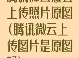 腾讯微云怎么上传照片原图(腾讯微云上传图片是原图吗)