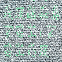 自助游游戏攻略秘籍长白山(长白山的攻略)