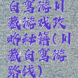 自驾游川藏游戏攻略秘籍(川藏自驾游路线)