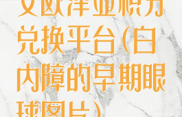 艾欧泽亚积分兑换平台(白内障的早期眼球图片)