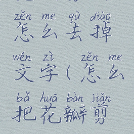 花瓣剪辑怎么去掉文字(怎么把花瓣剪辑关掉)