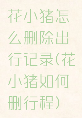 花小猪怎么删除出行记录(花小猪如何删行程)