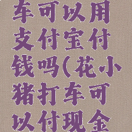 花小猪打车可以用支付宝付钱吗(花小猪打车可以付现金吗)