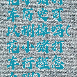 花小猪打车历史可以删掉吗(花小猪打车行程怎么删)