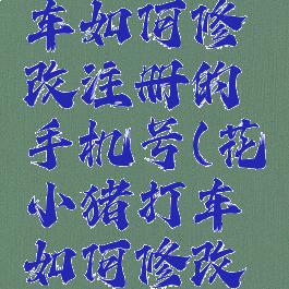 花小猪打车如何修改注册的手机号(花小猪打车如何修改手机号码)