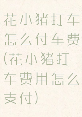 花小猪打车怎么付车费(花小猪打车费用怎么支付)