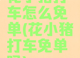 花小猪打车怎么免单(花小猪打车免单吗)