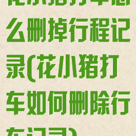 花小猪打车怎么删掉行程记录(花小猪打车如何删除行车记录)