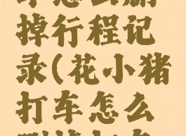 花小猪打车怎么删掉行程记录(花小猪打车怎么删掉打车记录)