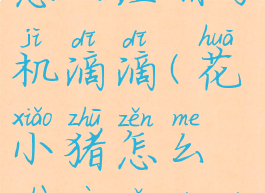 花小猪打车怎么注册司机滴滴(花小猪怎么注册跑滴滴)