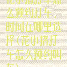 花小猪打车怎么预约打车,时间在哪里选择(花小猪打车怎么预约叫车)