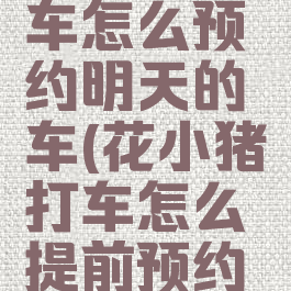 花小猪打车怎么预约明天的车(花小猪打车怎么提前预约打车)