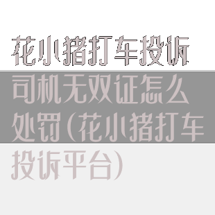 花小猪打车投诉司机无双证怎么处罚(花小猪打车投诉平台)