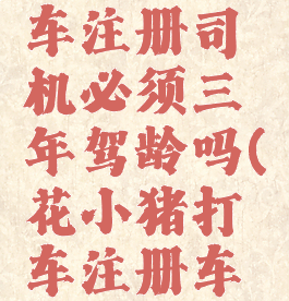 花小猪打车注册司机必须三年驾龄吗(花小猪打车注册车辆要求)