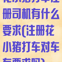 花小猪打车注册司机有什么要求(注册花小猪打车对车有要求吗)