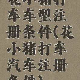 花小猪打车车型注册条件(花小猪打车汽车注册条件)