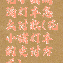 花小猪滴滴打车怎么付款(花小猪打车的支付方式)