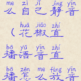 花椒直播怎么自己静音(花椒直播语音直播怎么放音乐)