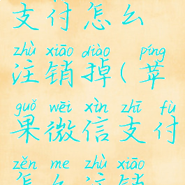 苹果微信支付怎么注销掉(苹果微信支付怎么注销掉账号)