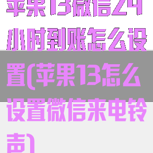 苹果13微信24小时到账怎么设置(苹果13怎么设置微信来电铃声)