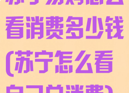 苏宁易购怎么看消费多少钱(苏宁怎么看自己总消费)