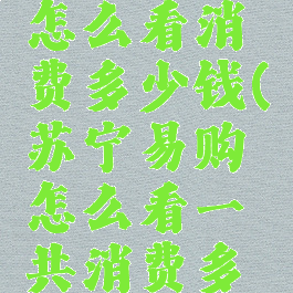 苏宁易购怎么看消费多少钱(苏宁易购怎么看一共消费多少钱)