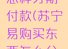 苏宁易购怎样分期付款(苏宁易购买东西怎么分期付款)