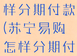 苏宁易购怎样分期付款(苏宁易购怎样分期付款买东西)
