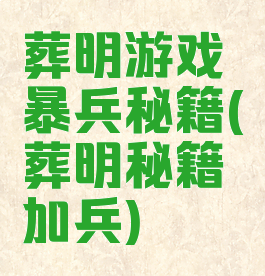 葬明游戏暴兵秘籍(葬明秘籍加兵)