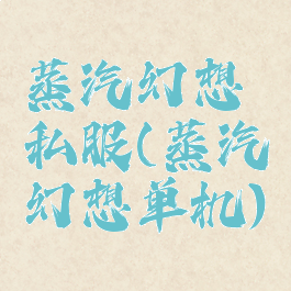 蒸汽幻想私服(蒸汽幻想单机)