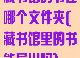 藏书馆的书在哪个文件夹(藏书馆里的书能导出吗)