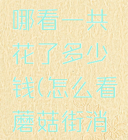 蘑菇街在哪看一共花了多少钱(怎么看蘑菇街消费记录)