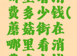 蘑菇街在哪里看消费多少钱(蘑菇街在哪里看消费多少钱了)