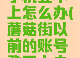 蘑菇街换手机登不上怎么办(蘑菇街以前的账号登不上去了怎么办)