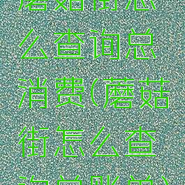 蘑菇街怎么查询总消费(蘑菇街怎么查询总账单)