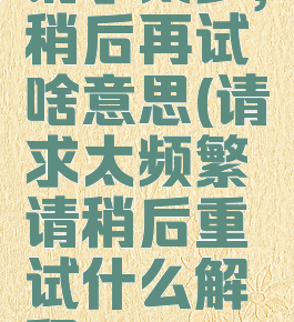 请求太多,稍后再试啥意思(请求太频繁请稍后重试什么解释)