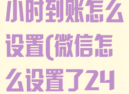 设置微信24小时到账怎么设置(微信怎么设置了24小时到账)